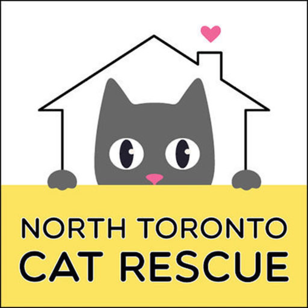 North Toronto Cat Rescue (NTCR)